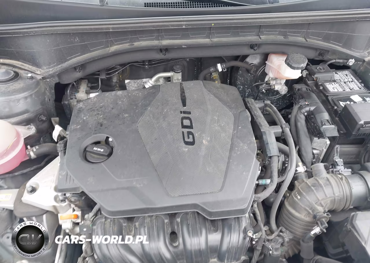2023 Kia Sorento X-Line S VIN:5XYRLDLC5PG201229 - 10