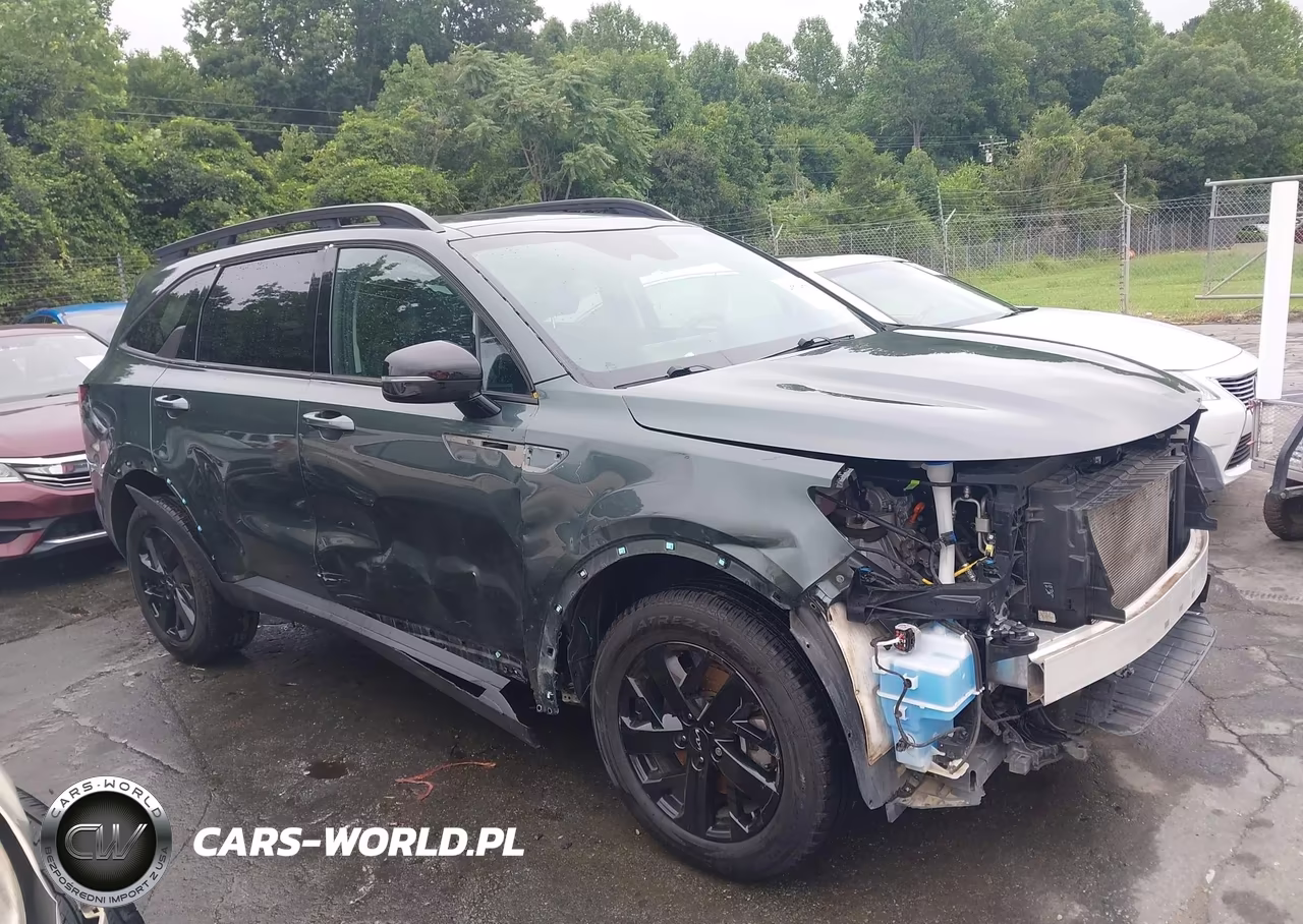 2023 Kia Sorento X-Line S VIN:5XYRLDLC5PG201229 - 14