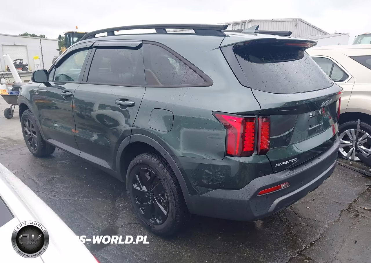2023 Kia Sorento X-Line S VIN:5XYRLDLC5PG201229 - 3