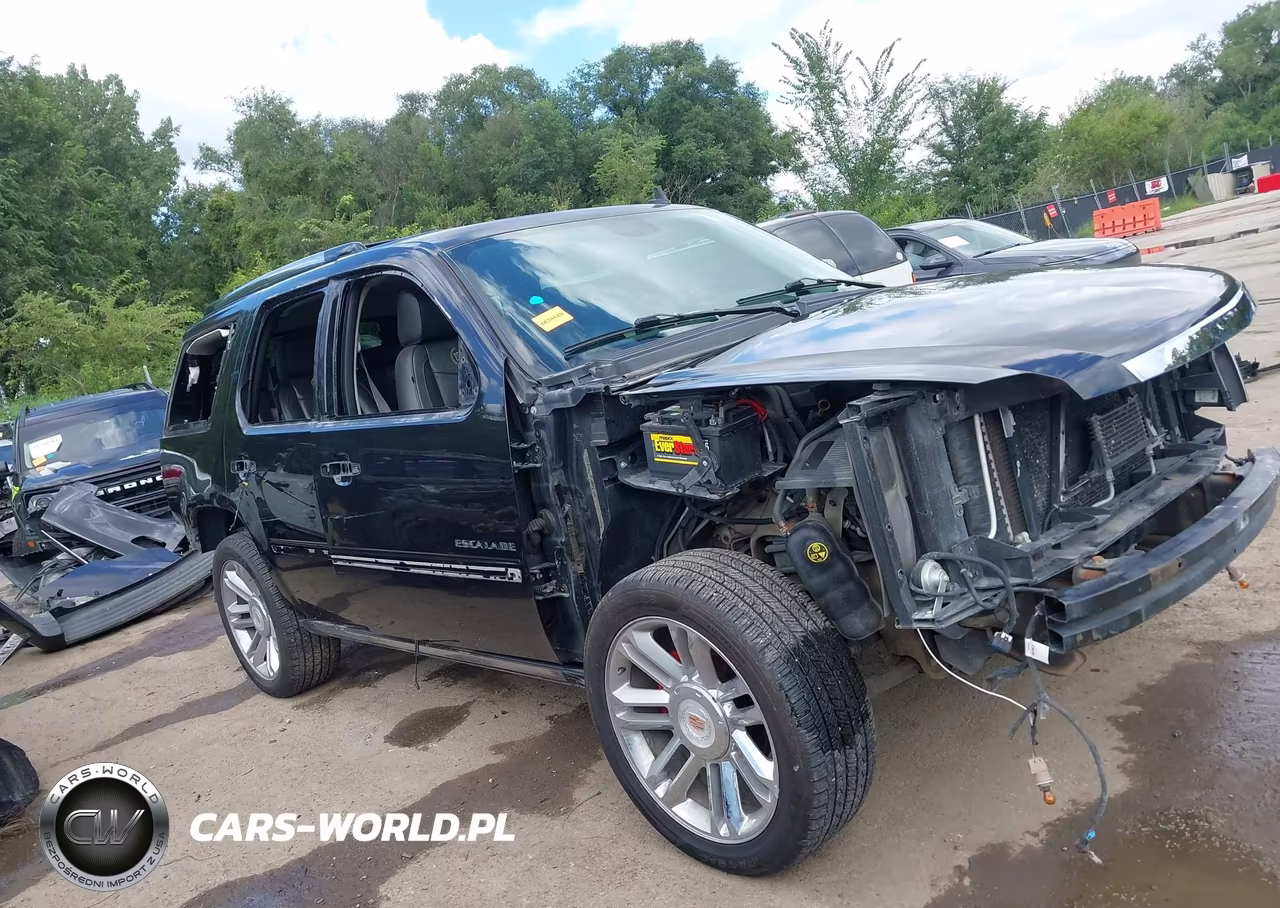 2013 Cadillac Escalade Platinum Edition VIN:1GYS4DEF4DR192696 - 14