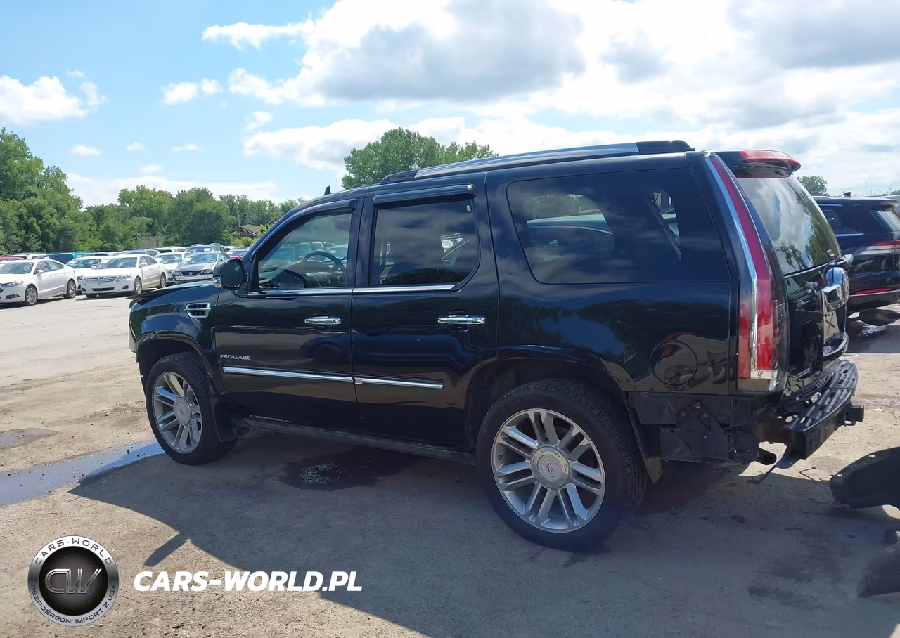 2013 Cadillac Escalade Platinum Edition VIN:1GYS4DEF4DR192696 - 15