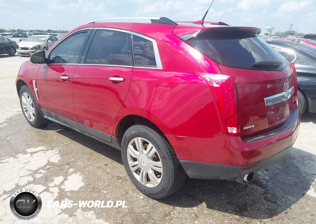2010 Cadillac Srx Luxury Collection VIN:3GYFNAEY5AS542859 - 3