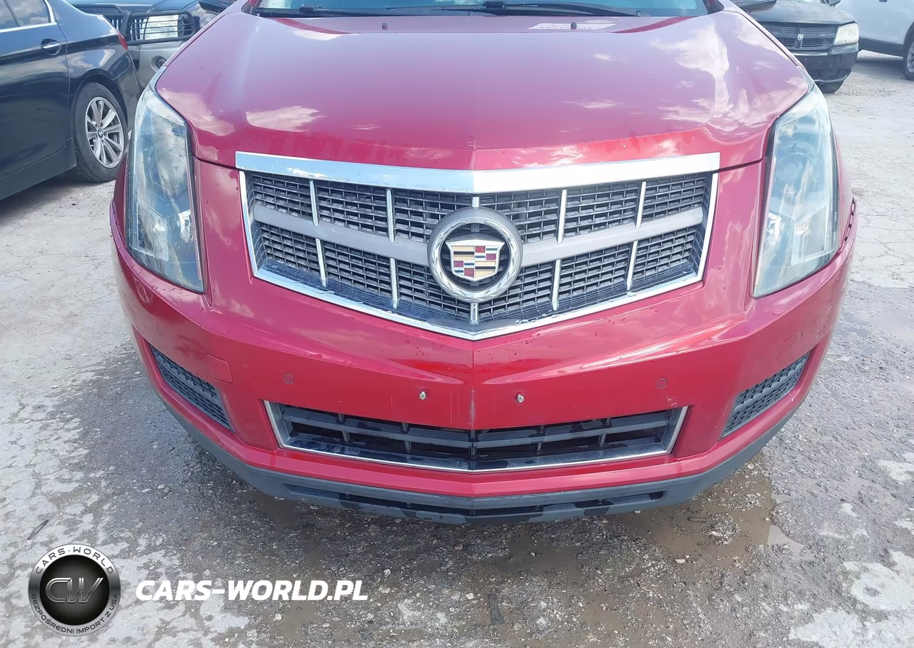 2010 Cadillac Srx Luxury Collection VIN:3GYFNAEY5AS542859 - 6
