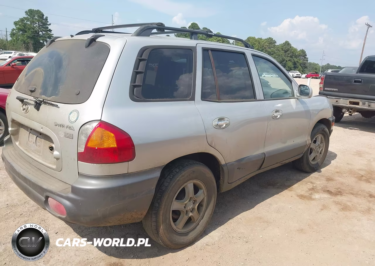 2004 Hyundai Santa Fe Gls-Lx VIN:KM8SC13E44U623371 - 4