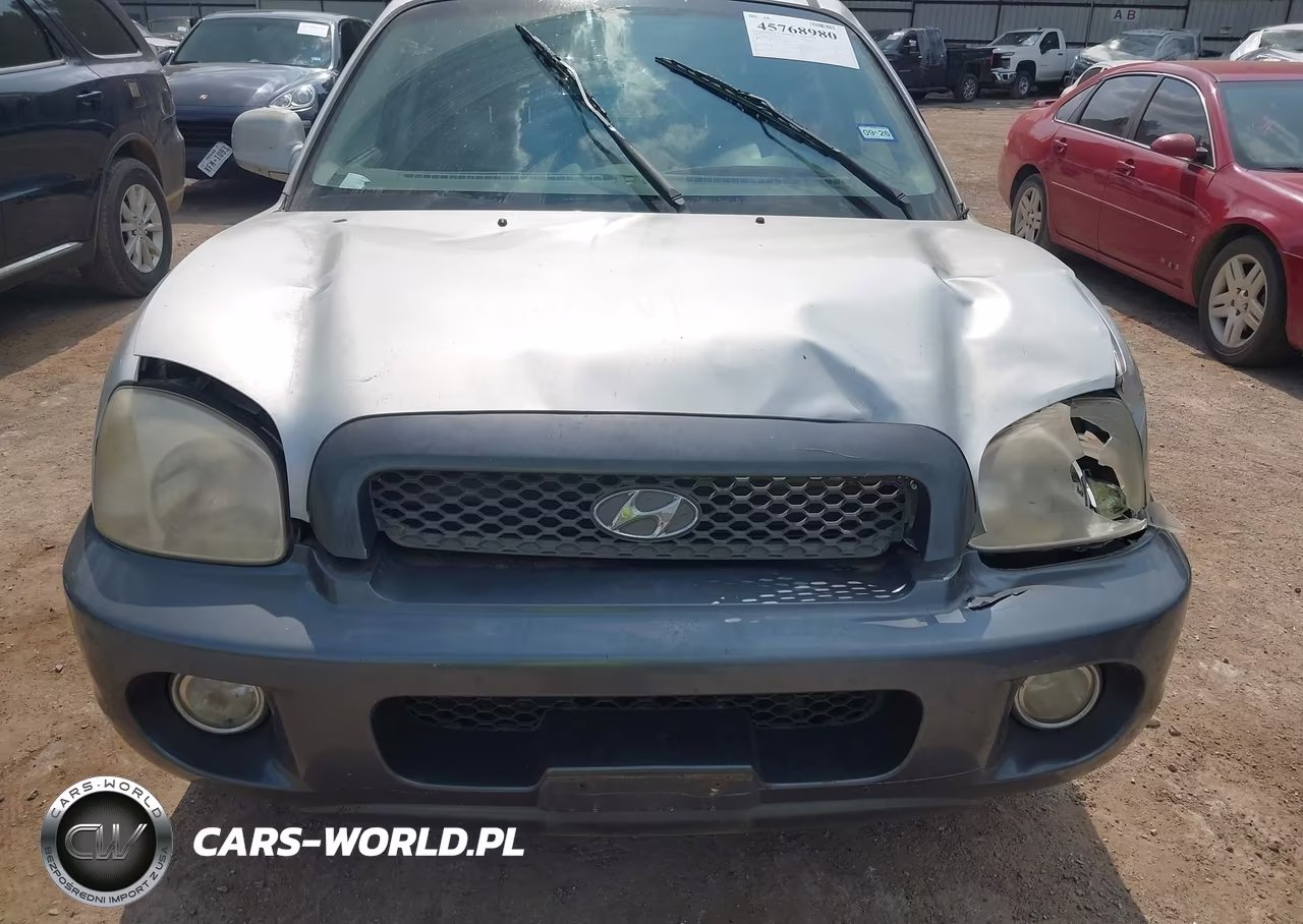 2004 Hyundai Santa Fe Gls-Lx VIN:KM8SC13E44U623371 - 6