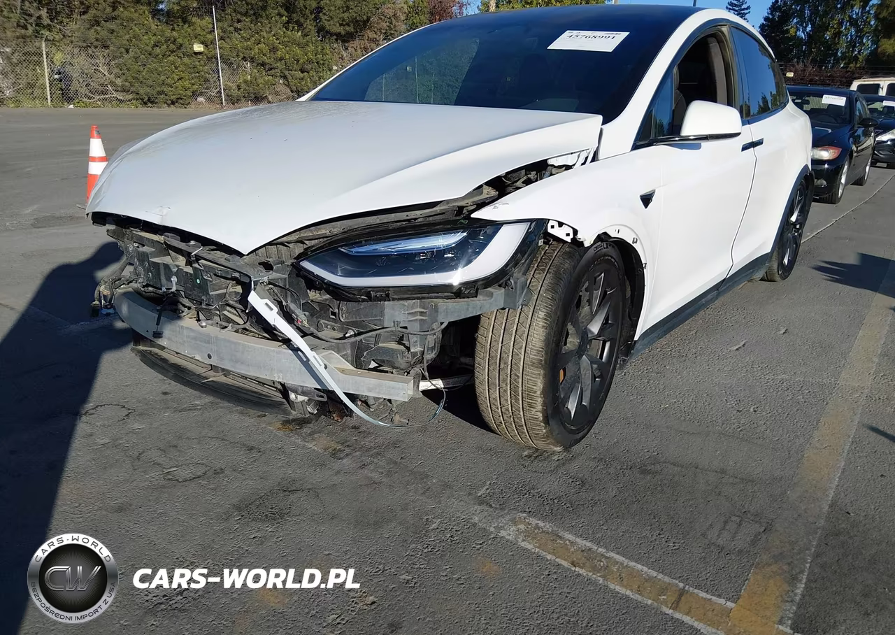 2023 Tesla Model X Dual Motor All-Wheel Drive-Standard Range VIN:7SAXCBE58PF378863 - 19
