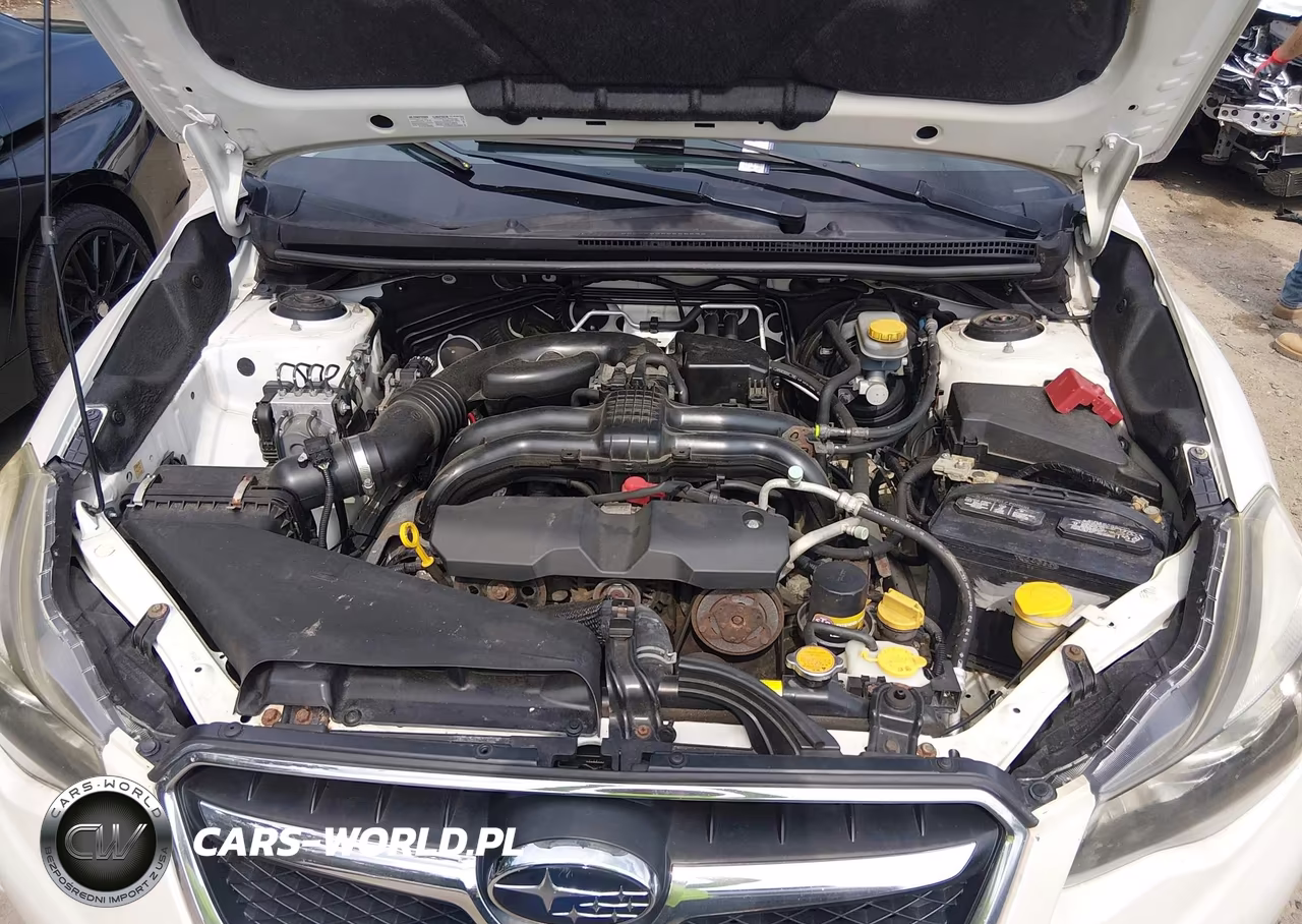 2013 Subaru Xv Crosstrek 2.0I Premium VIN:JF2GPACC1DH878969 - 10