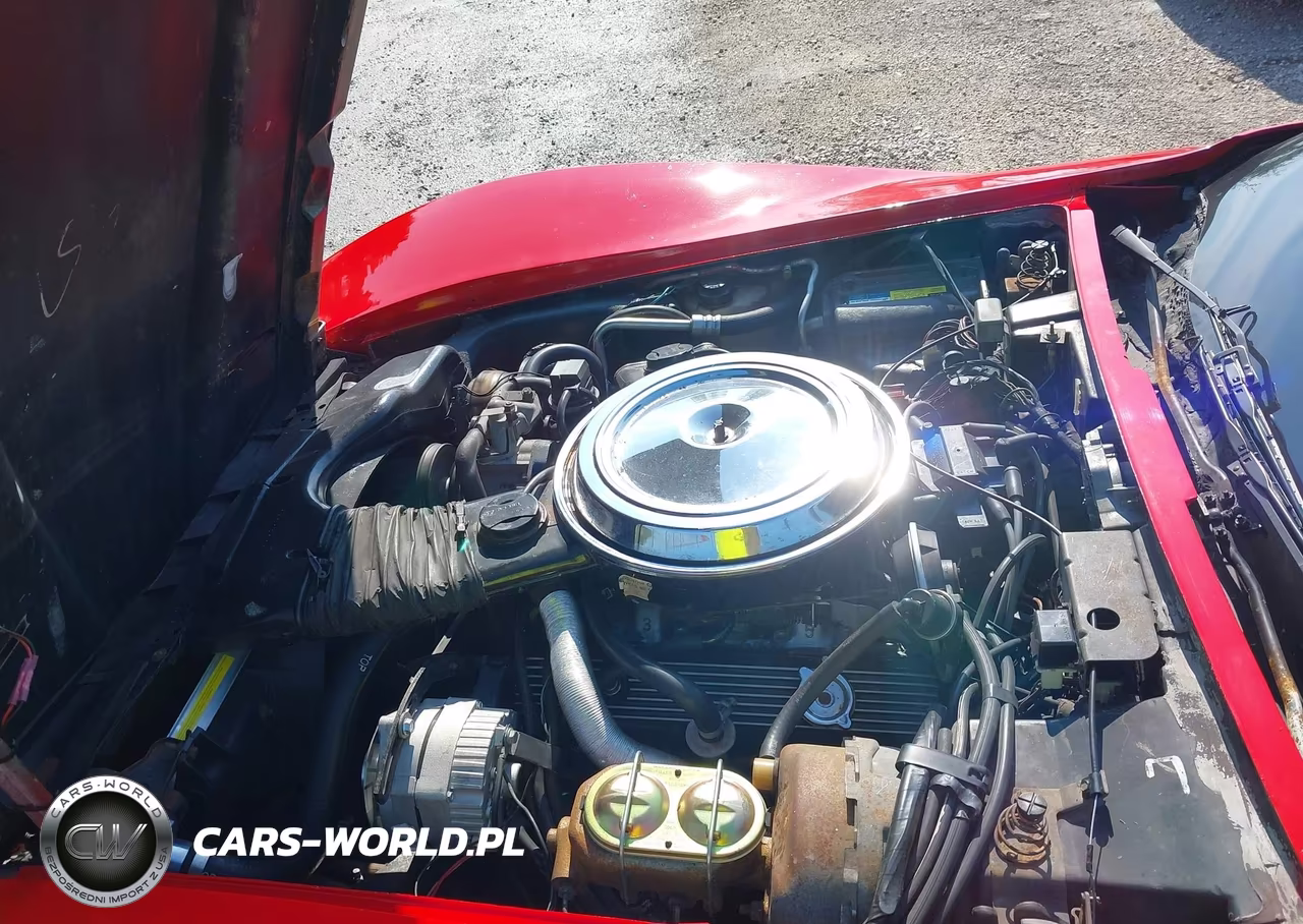 1981 Chevrolet Corvette VIN:1G1AY876XBS401853 - 10