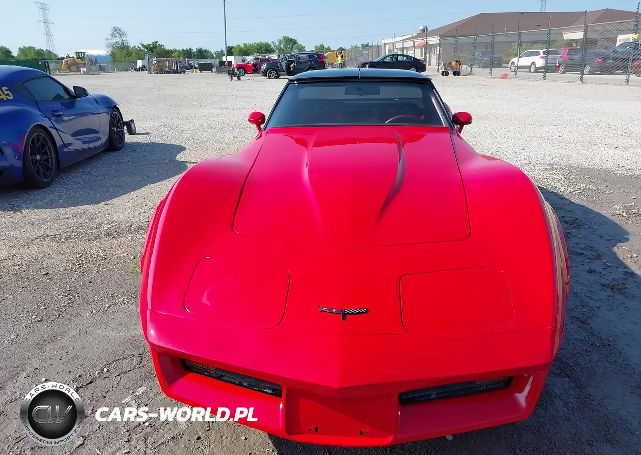 1981 Chevrolet Corvette VIN:1G1AY876XBS401853 - 12