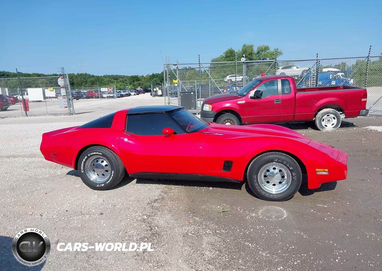 1981 Chevrolet Corvette VIN:1G1AY876XBS401853 - 13