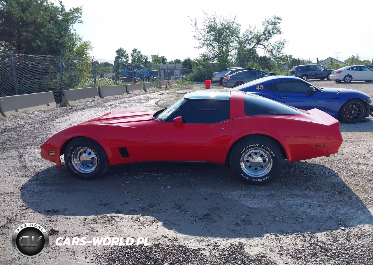 1981 Chevrolet Corvette VIN:1G1AY876XBS401853 - 14