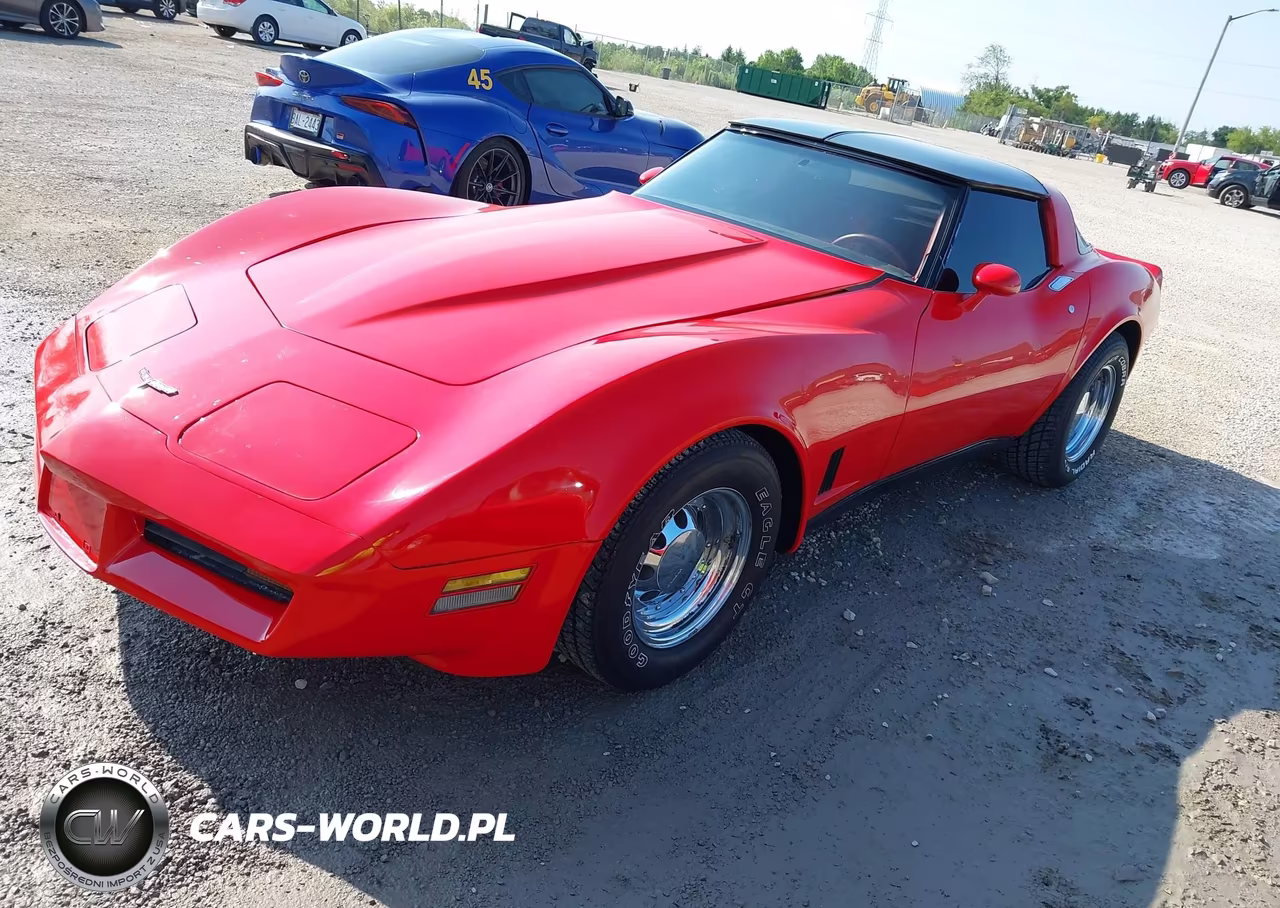 1981 Chevrolet Corvette VIN:1G1AY876XBS401853 - 2