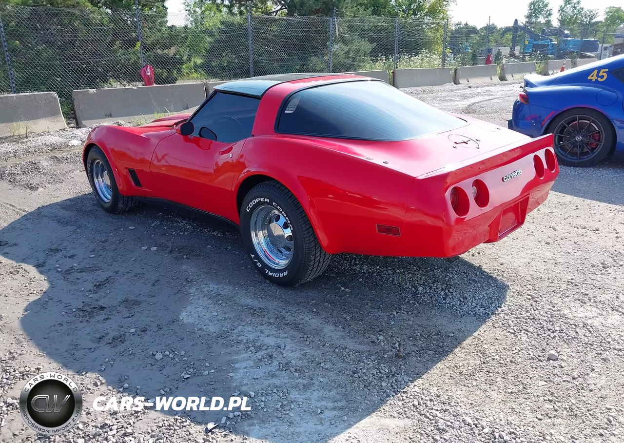 1981 Chevrolet Corvette VIN:1G1AY876XBS401853 - 3