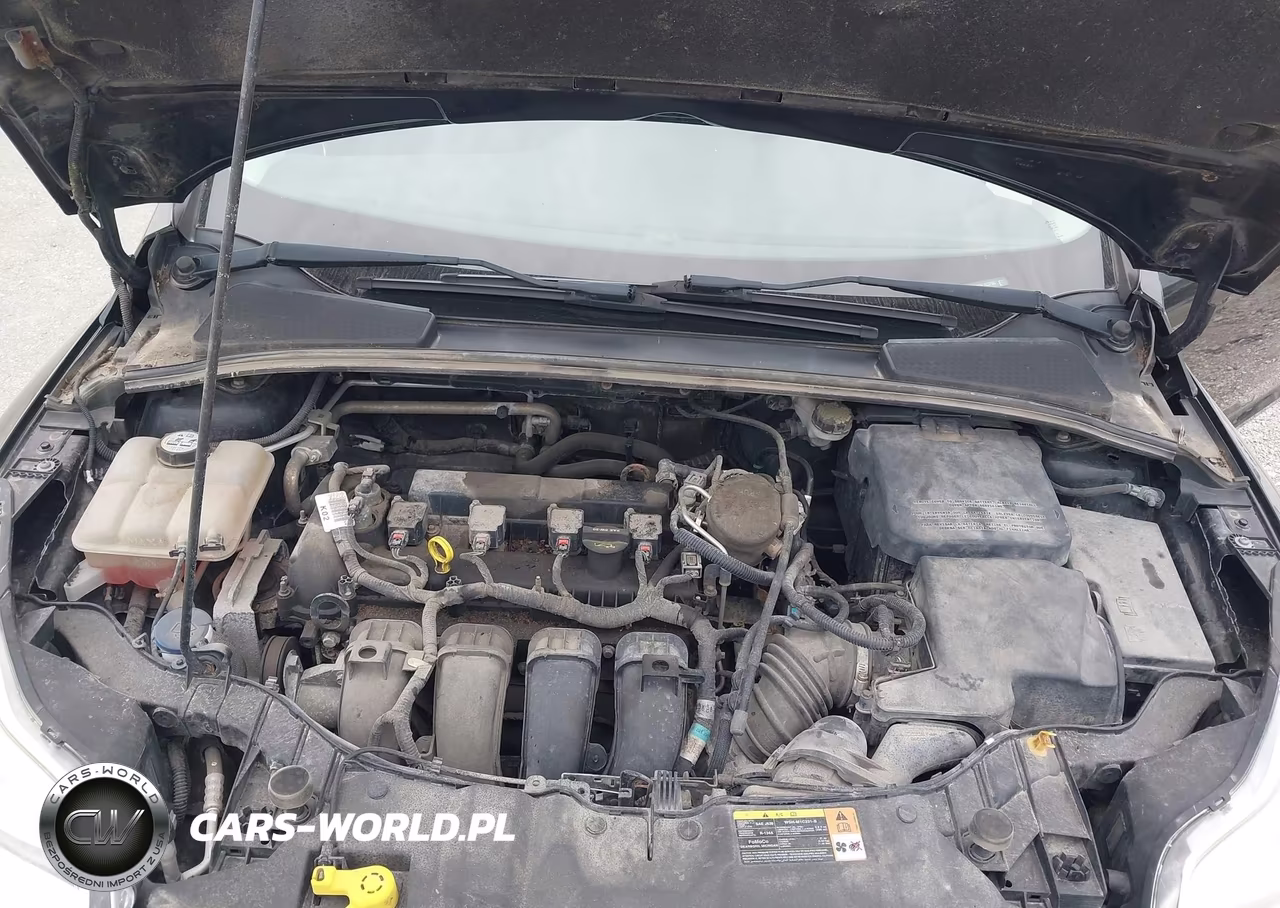 2013 Ford Focus Se VIN:1FADP3F26DL263790 - 10