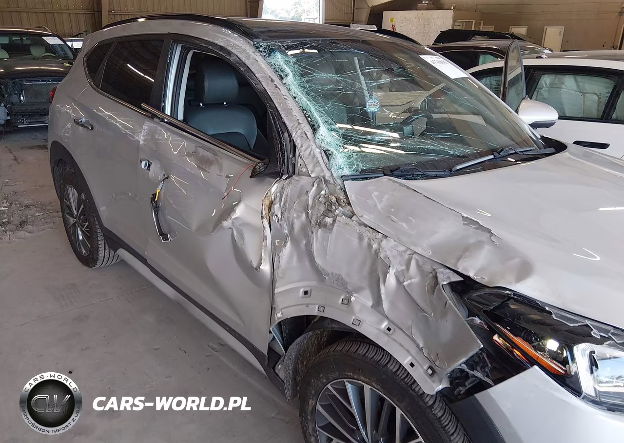 2019 Hyundai Tucson Ultimate VIN:KM8J33AL5KU867696 - 6