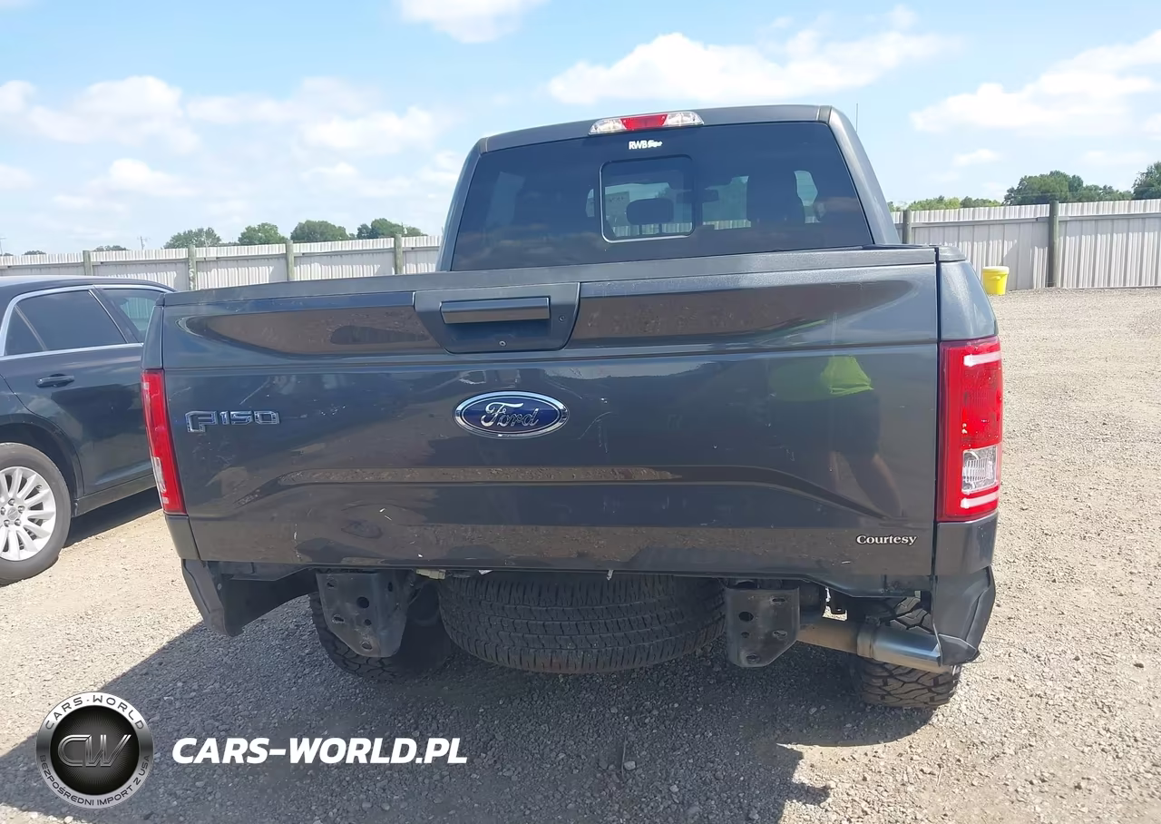 2016 Ford F-150 Lariat-Xl-Xlt VIN:1FTEW1EP5GFB77165 - 17