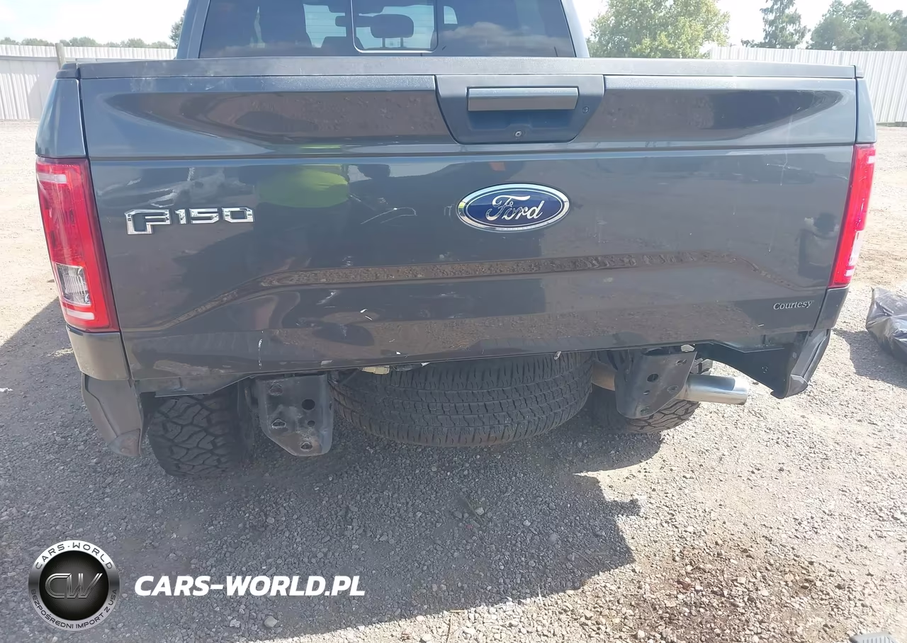 2016 Ford F-150 Lariat-Xl-Xlt VIN:1FTEW1EP5GFB77165 - 6