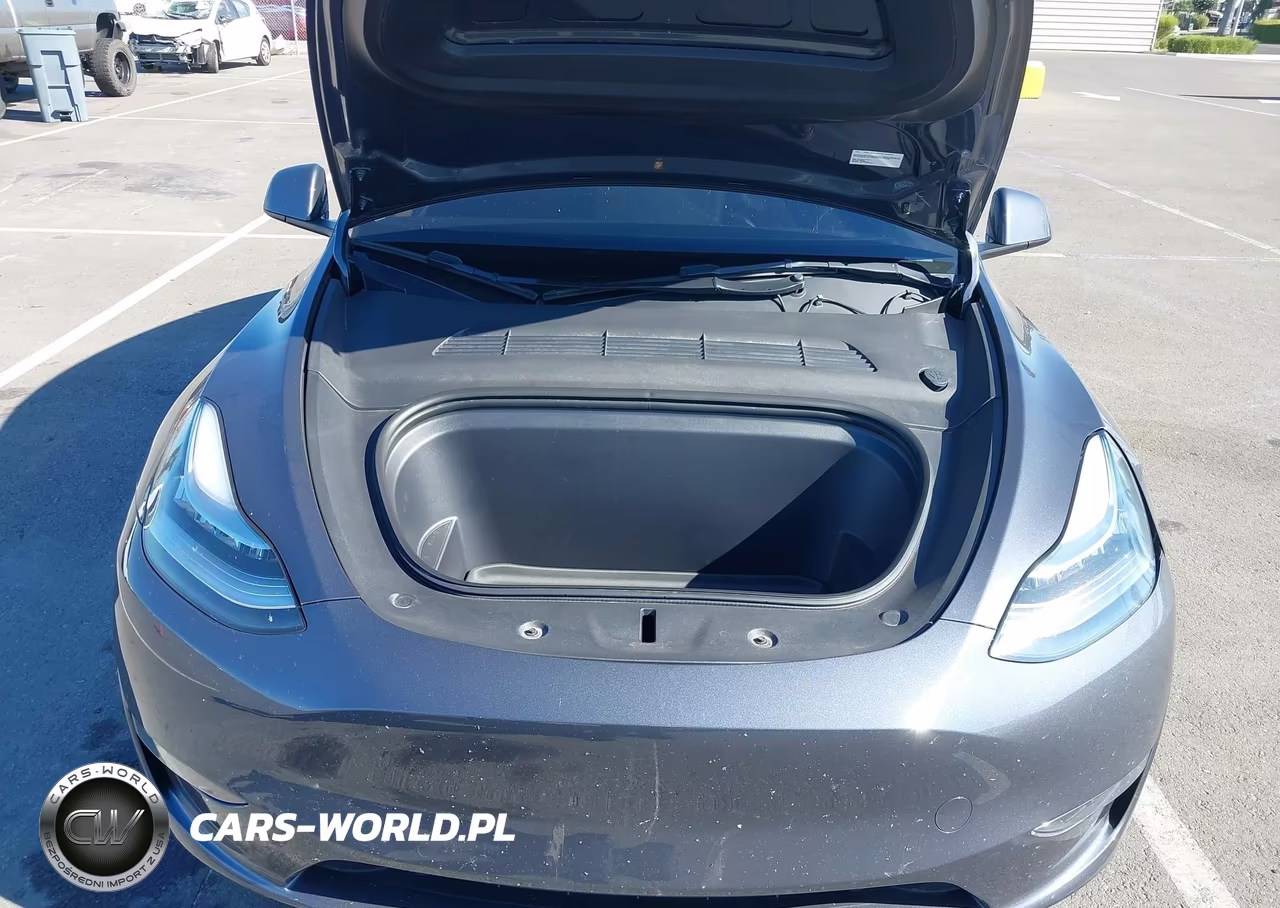 2023 Tesla Model Y VIN:7SAYGDEE4PA113410 - 10