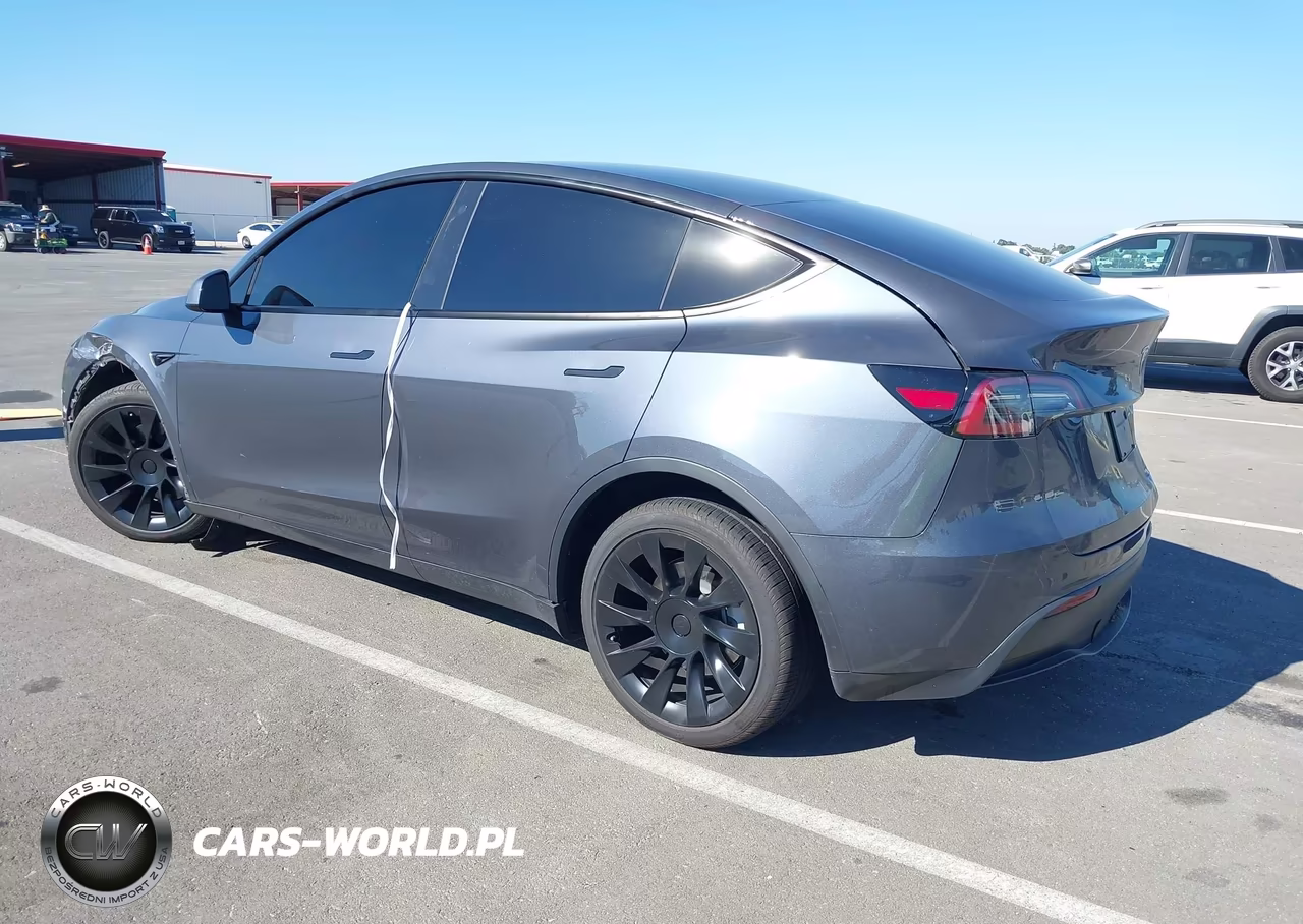 2023 Tesla Model Y VIN:7SAYGDEE4PA113410 - 3