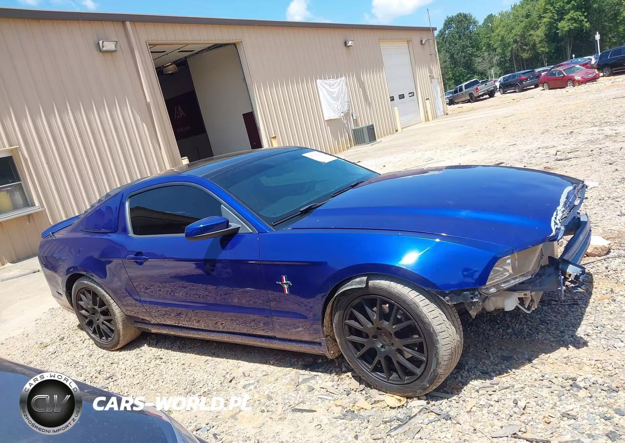 2014 Ford Mustang VIN:1ZVBP8AM3E5317945 - 13