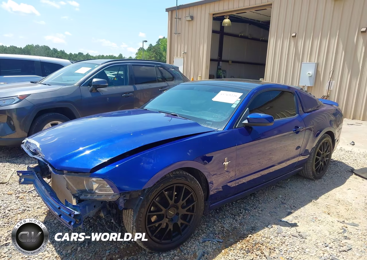 2014 Ford Mustang VIN:1ZVBP8AM3E5317945 - 2