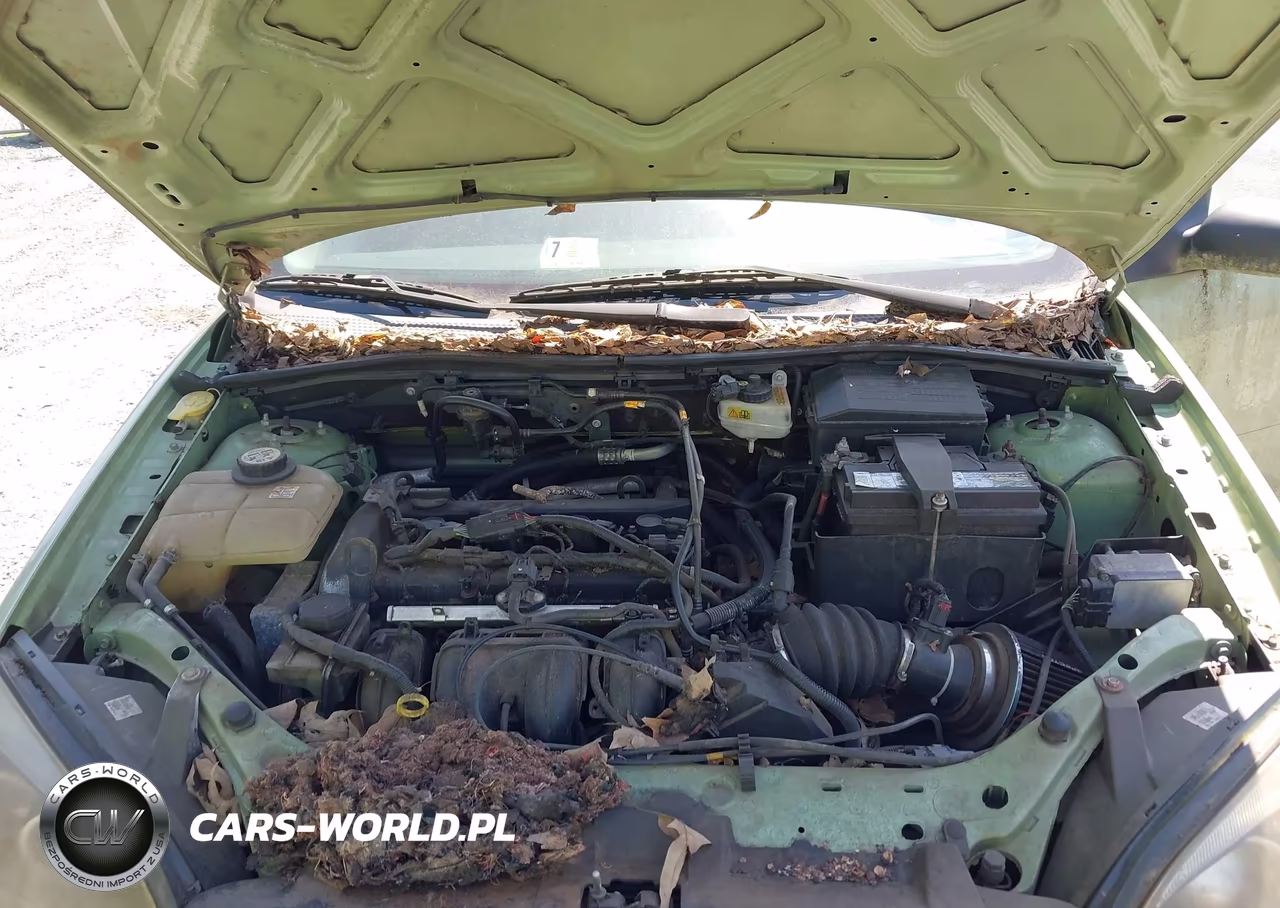 2007 Ford Focus S-Se-Ses VIN:1FAHP31N47W197018 - 10