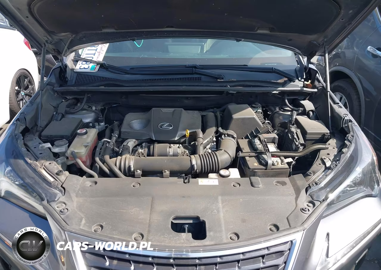 2018 Lexus Nx 300 VIN:JTJYARBZ0J2095579 - 10
