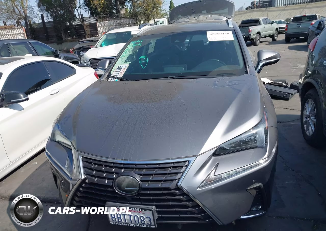 2018 Lexus Nx 300 VIN:JTJYARBZ0J2095579 - 13