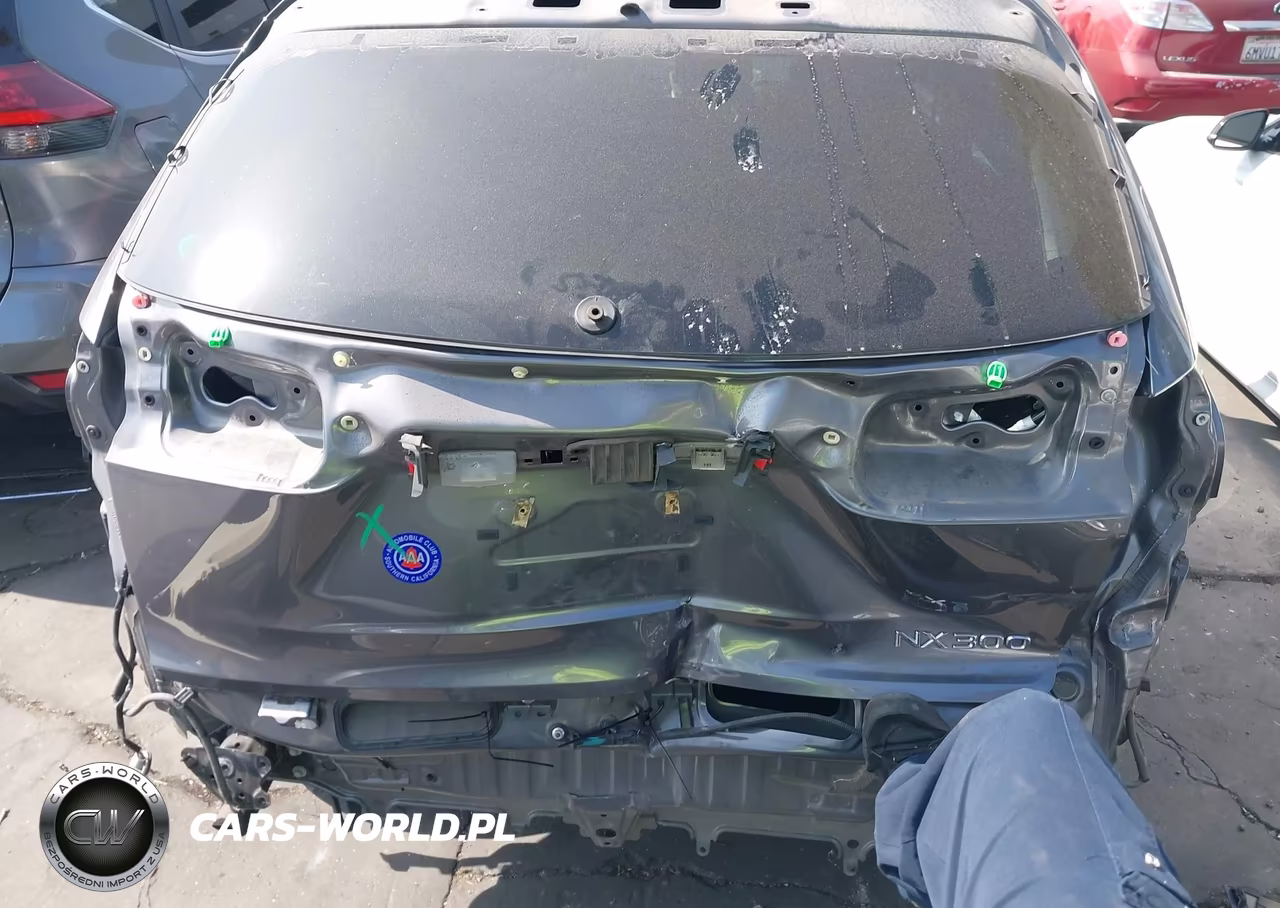 2018 Lexus Nx 300 VIN:JTJYARBZ0J2095579 - 17