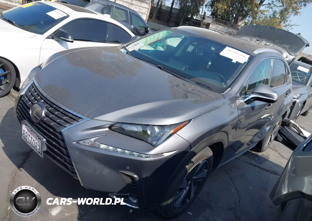 2018 Lexus Nx 300 VIN:JTJYARBZ0J2095579 - 2