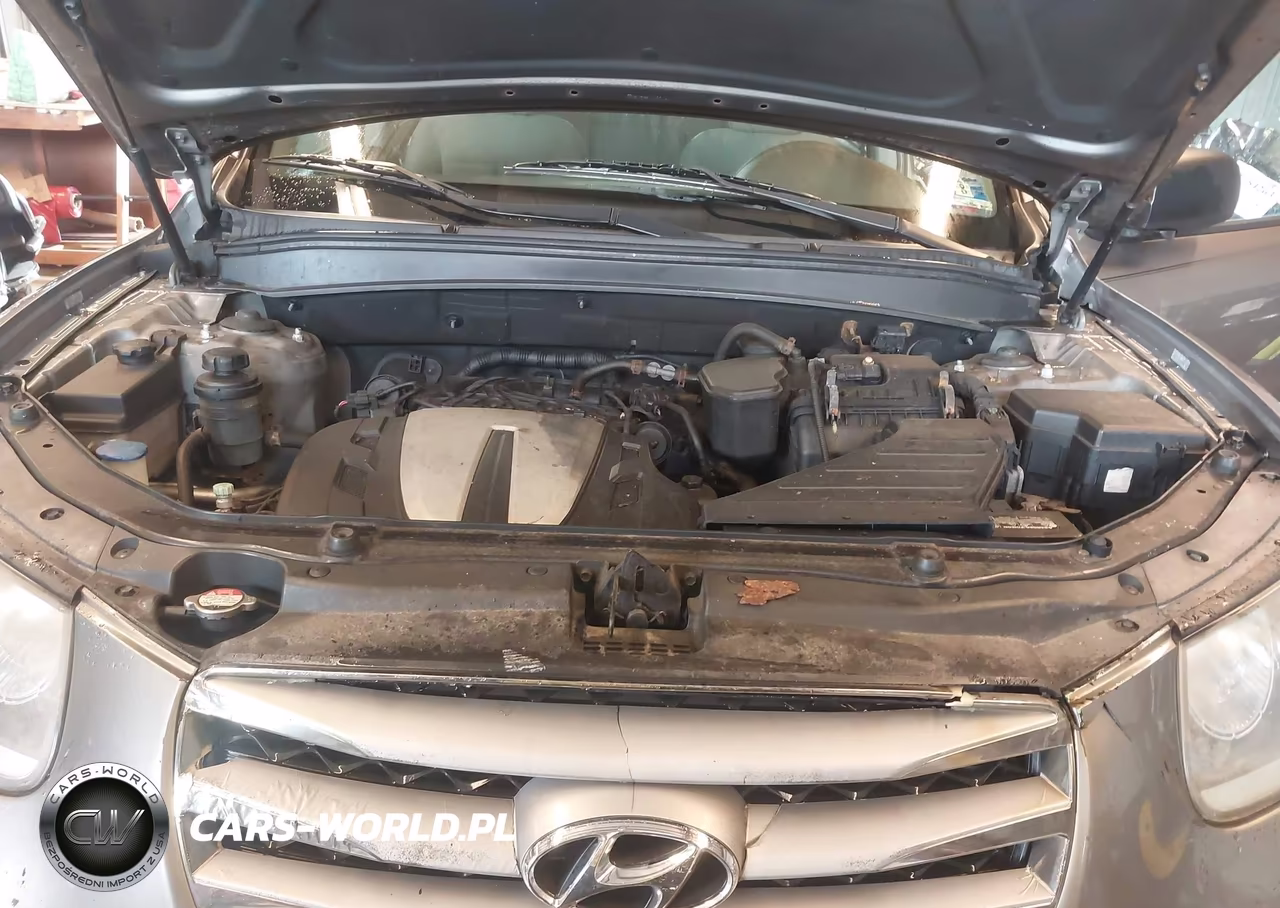 2012 Hyundai Santa Fe Gls VIN:5XYZGDAG2CG135971 - 10
