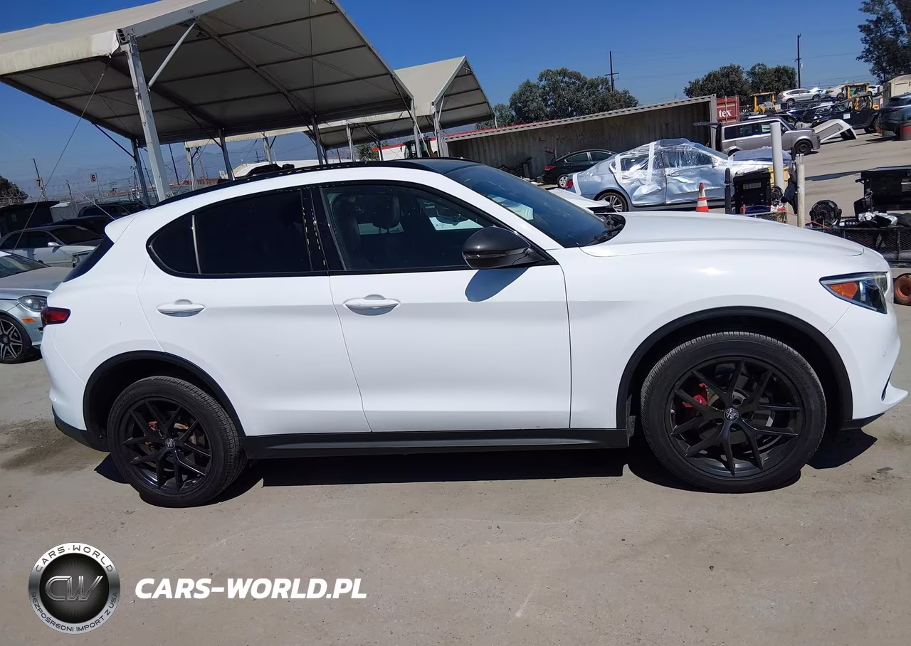 2019 Alfa Romeo Stelvio Ti Sport Awd VIN:ZASPAKBN0K7C42692 - 13