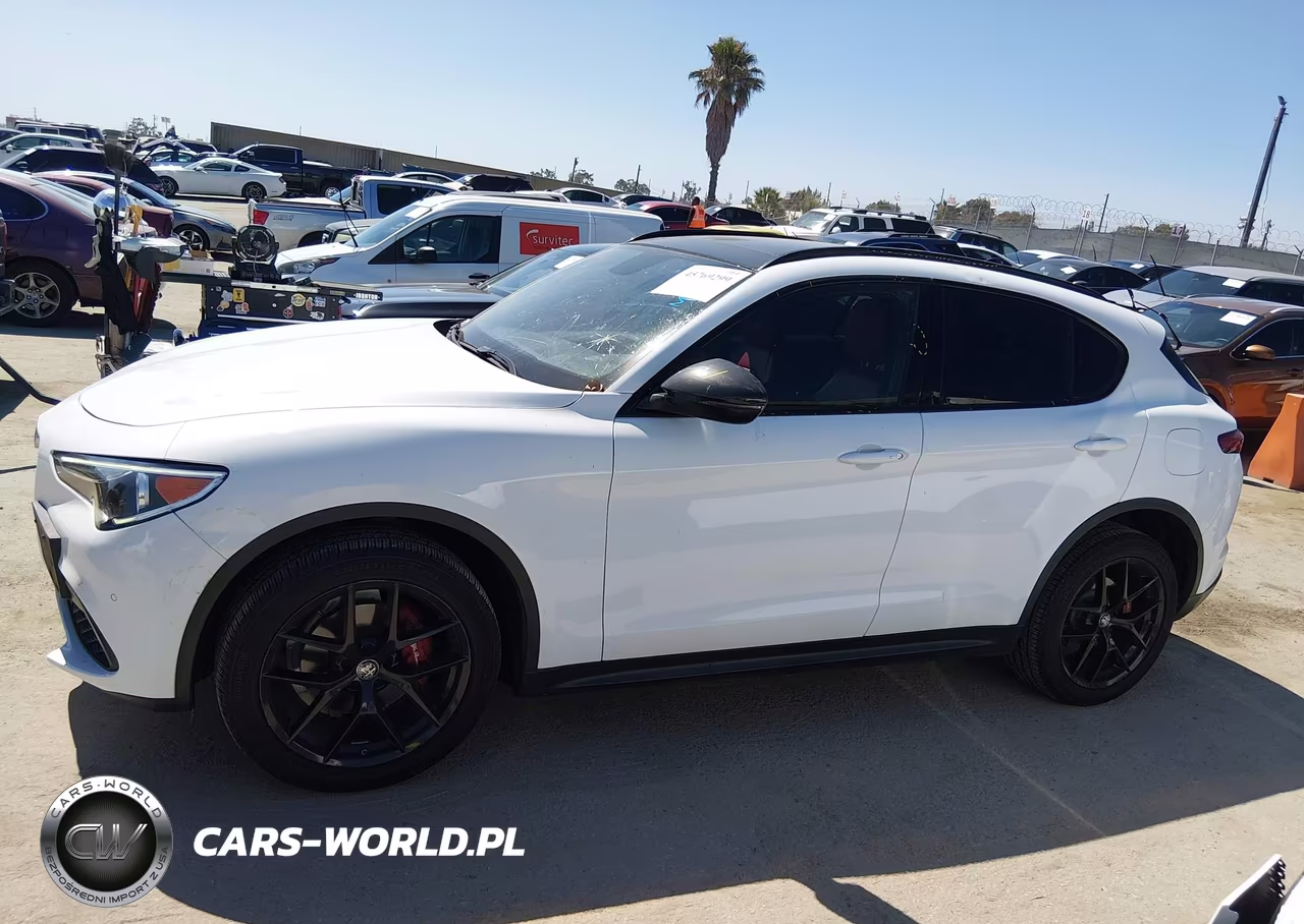2019 Alfa Romeo Stelvio Ti Sport Awd VIN:ZASPAKBN0K7C42692 - 14