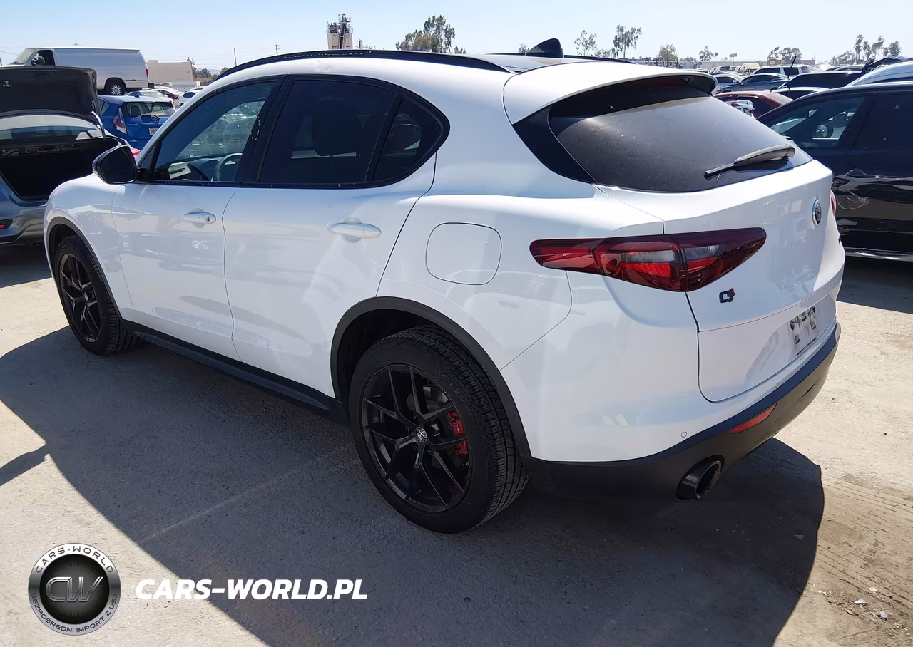 2019 Alfa Romeo Stelvio Ti Sport Awd VIN:ZASPAKBN0K7C42692 - 3