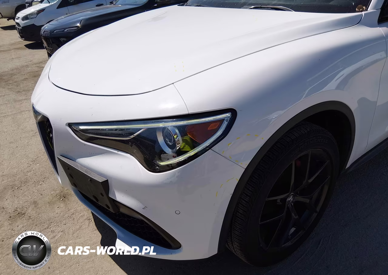2019 Alfa Romeo Stelvio Ti Sport Awd VIN:ZASPAKBN0K7C42692 - 6