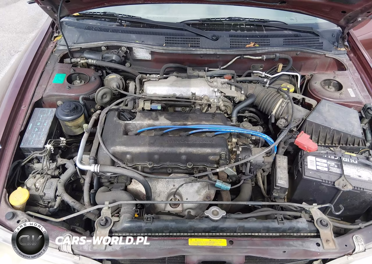 2002 Infiniti G20 Luxury VIN:JNKCP11A42T511541 - 10