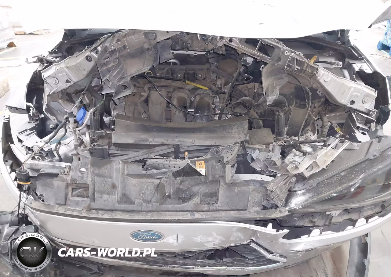 2015 Ford Focus Se VIN:1FADP3F25FL269227 - 15