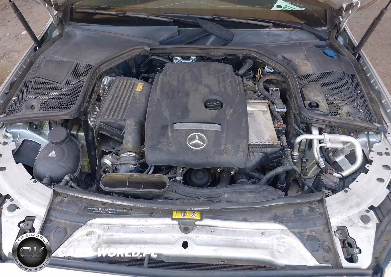 2018 Mercedes-Benz C 300 VIN:55SWF4JB7JU249218 - 10