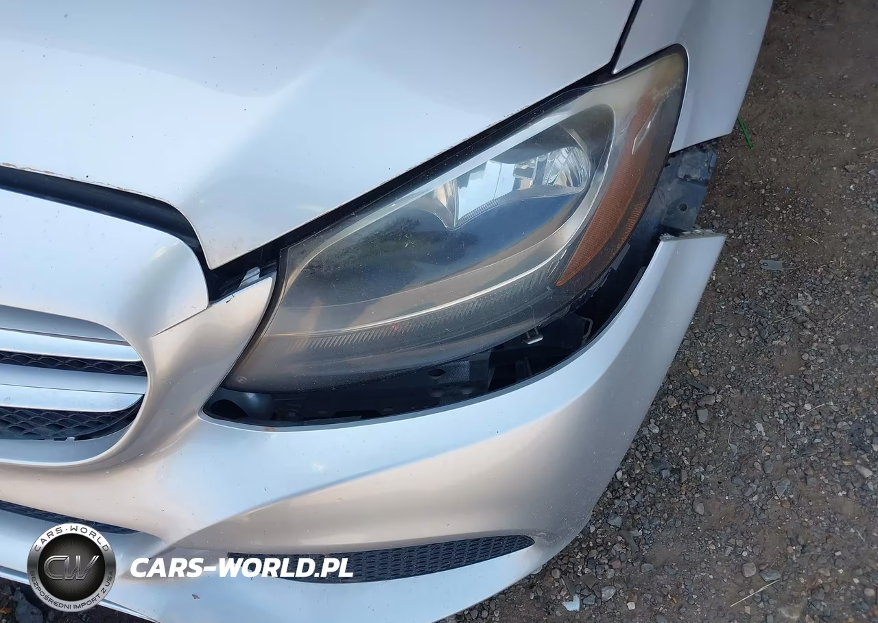 2018 Mercedes-Benz C 300 VIN:55SWF4JB7JU249218 - 11