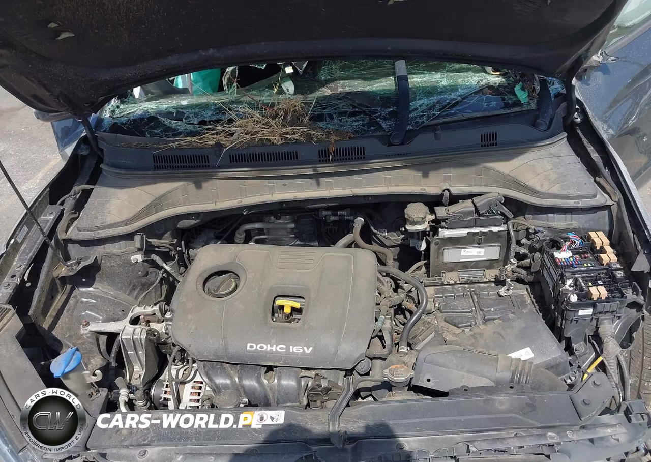 2019 Hyundai Kona Sel VIN:KM8K2CAA7KU360532 - 10