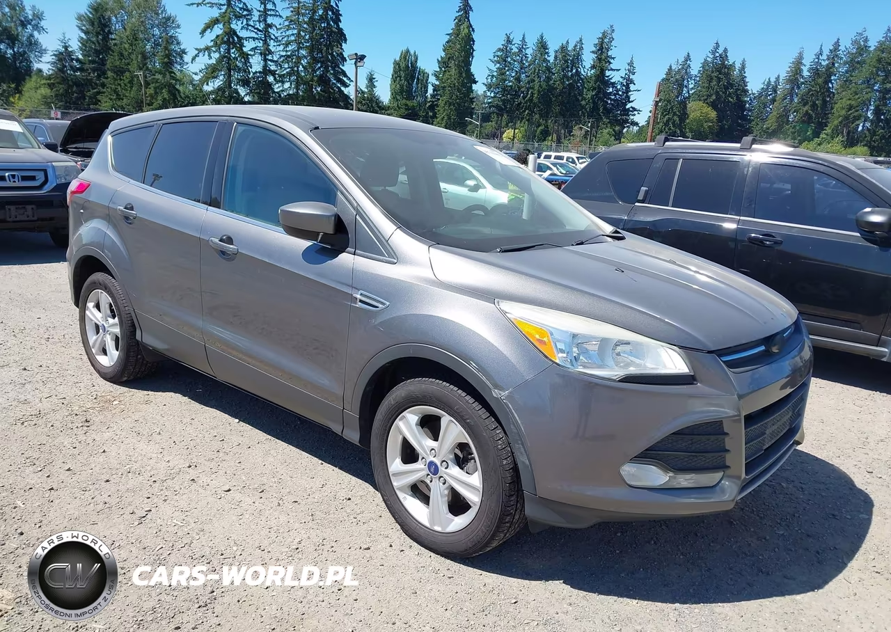 2013 Ford Escape Se