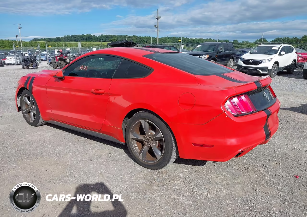 2015 Ford Mustang V6 VIN:1FA6P8AMXF5396901 - 3