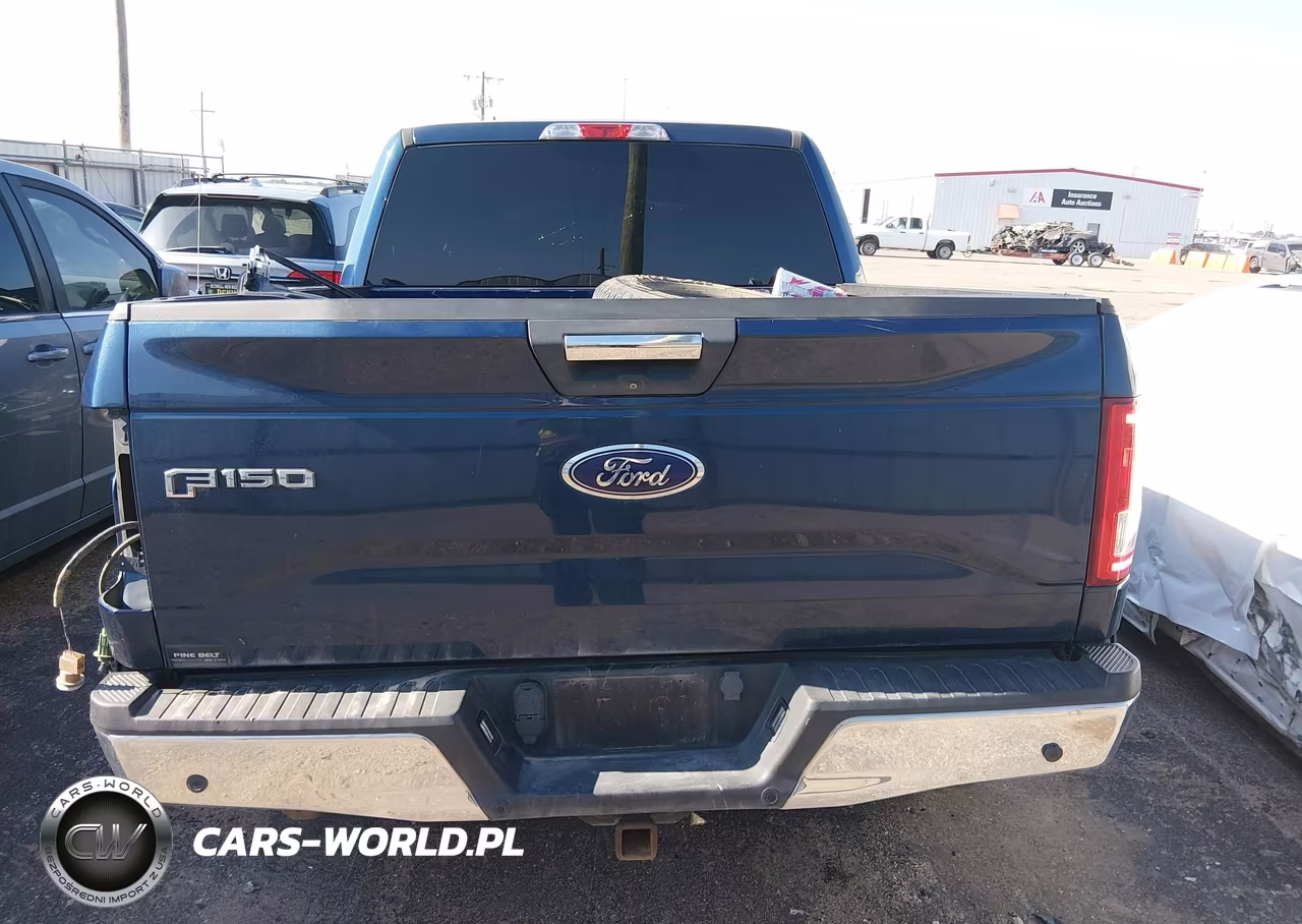 2015 Ford F-150 Xlt VIN:1FTEW1EP6FKD74514 - 17