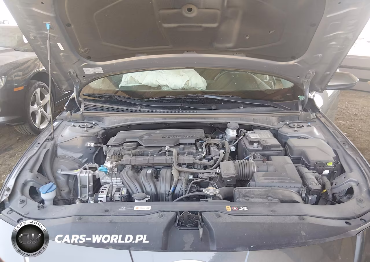2025 HYUNDAI ELANTRA SEL VIN:KMHLS4DG1SU920815 - 10