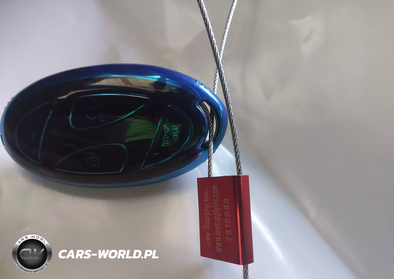 2025 HYUNDAI ELANTRA SEL VIN:KMHLS4DG1SU920815 - 11