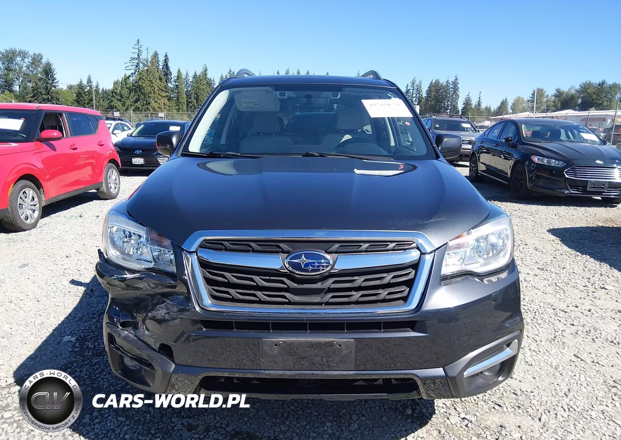 2018 Subaru Forester 2.5I Premium VIN:JF2SJAGC1JH496216 - 12