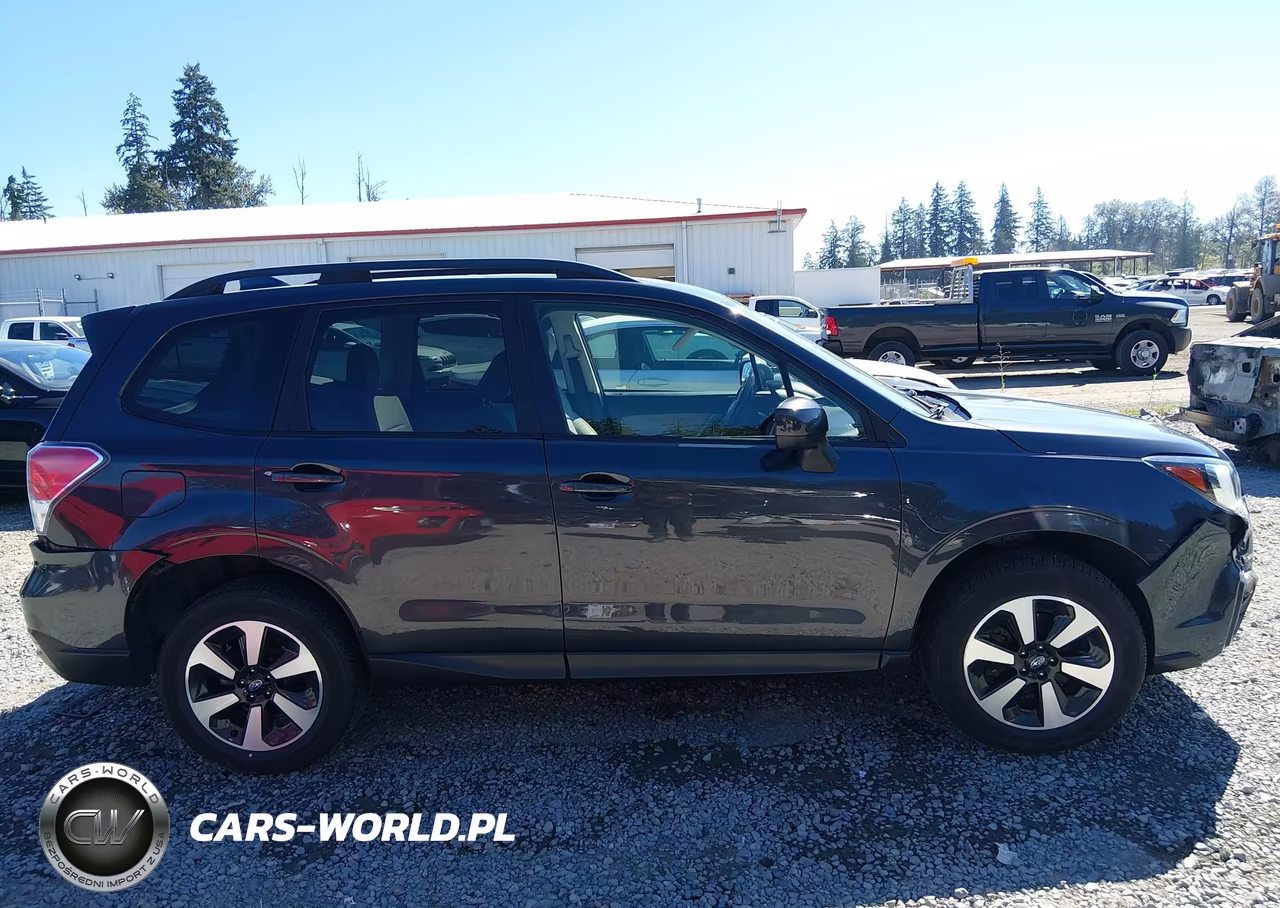 2018 Subaru Forester 2.5I Premium VIN:JF2SJAGC1JH496216 - 13