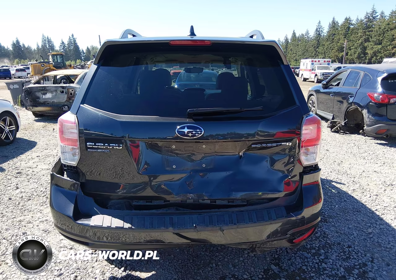 2018 Subaru Forester 2.5I Premium VIN:JF2SJAGC1JH496216 - 16