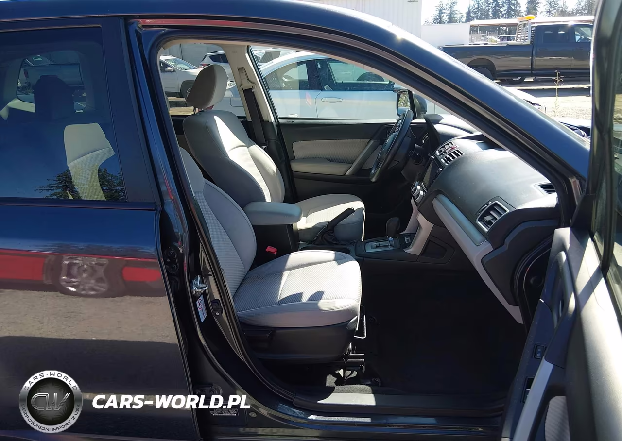2018 Subaru Forester 2.5I Premium VIN:JF2SJAGC1JH496216 - 17