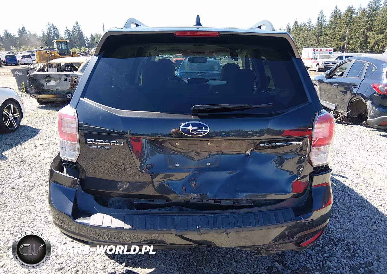 2018 Subaru Forester 2.5I Premium VIN:JF2SJAGC1JH496216 - 6